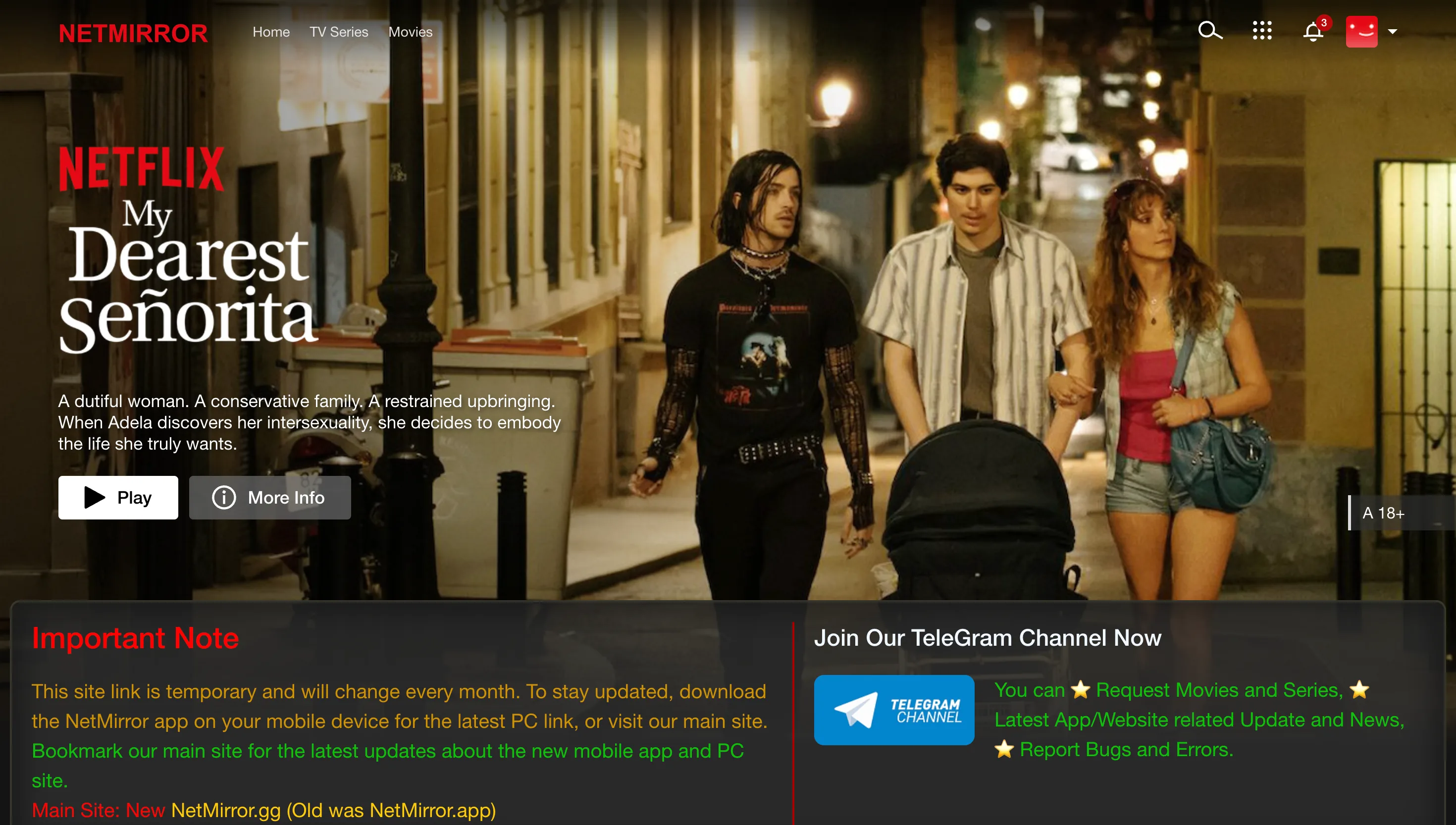 NetMirror Web (PCMirror) running in browser on PC/Mac with Netflix mirror tab active