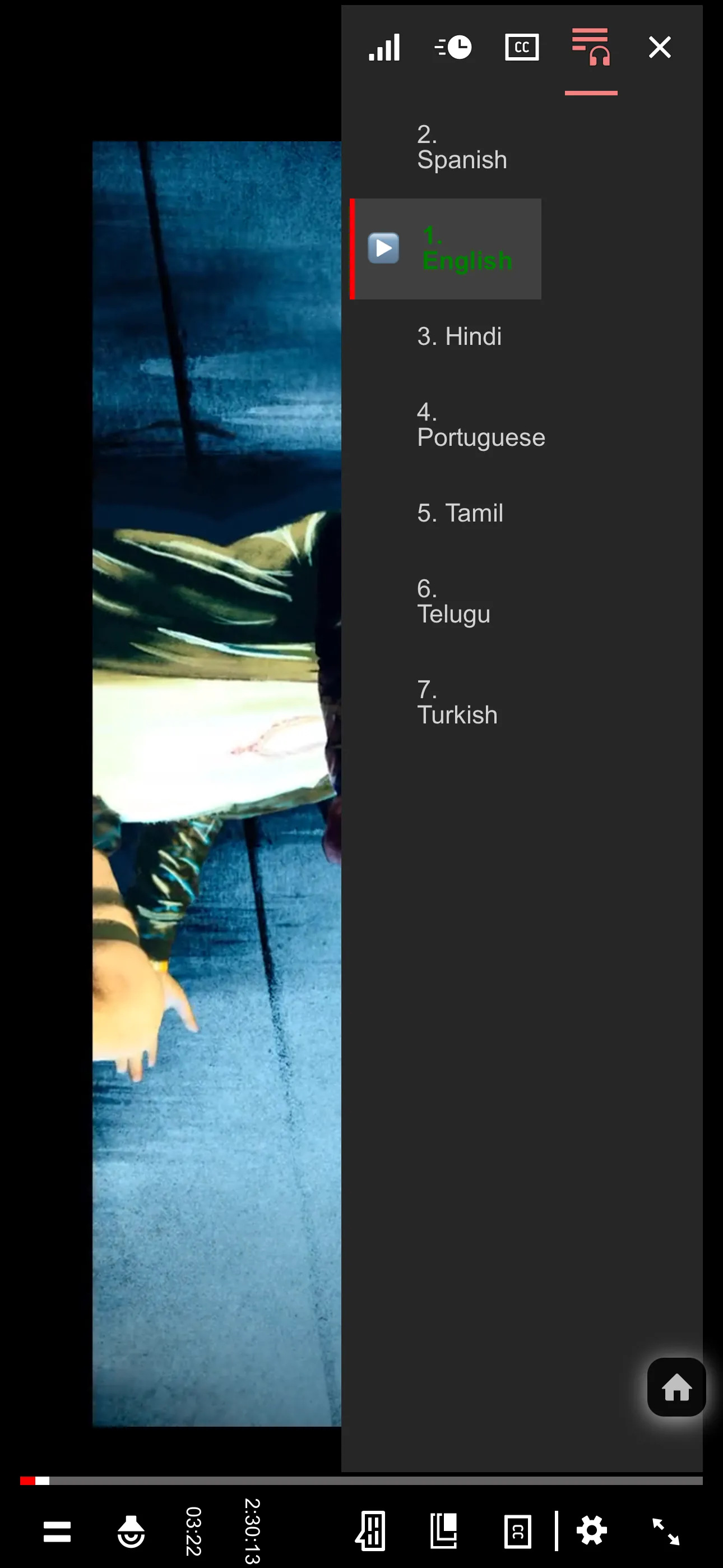NetMirror multi-language audio selector showing Hindi, Tamil, Telugu, English and 11 more audio tracks