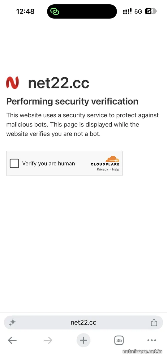 NetMirror Web on iPhone Safari — CAPTCHA
