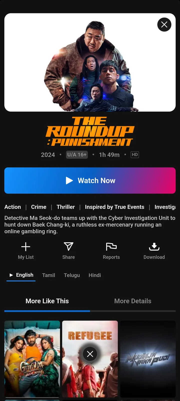 NetMirror Movie Detail Page screen