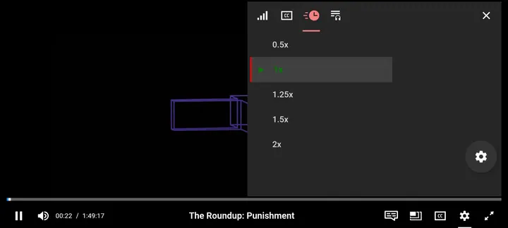 NetMirror player Playback Speed