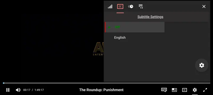 NetMirror player Subtitles / CC